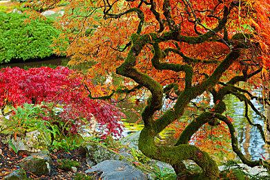PS港服开启黑五优惠活动 会员订阅服务迎来首次折扣
